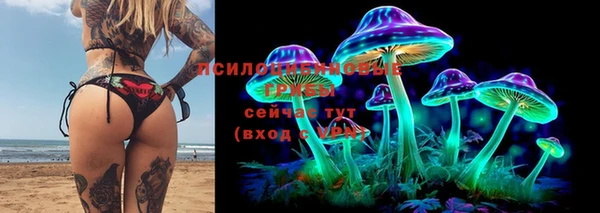 тгк Новодвинск