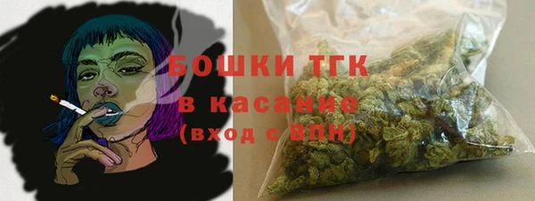 тгк Новодвинск