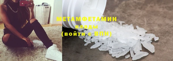 прущие грибы Белая Холуница