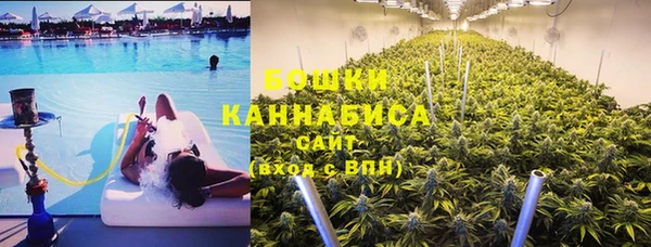 тгк Новодвинск