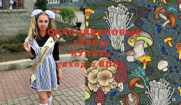 бошки Нея
