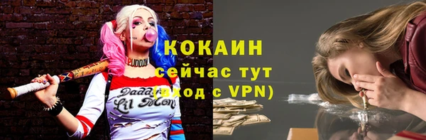 тгк Новодвинск