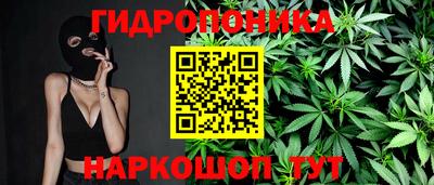 ECSTASY Гай