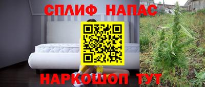 гидра Балахна